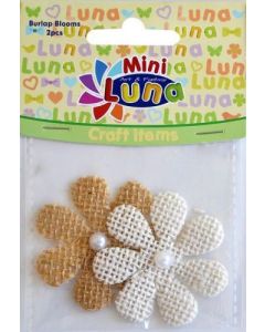 CRAFT CVET LUNA 620803 DISPLAY